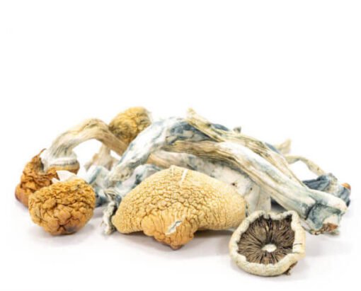 buy mushroom in united kingdom